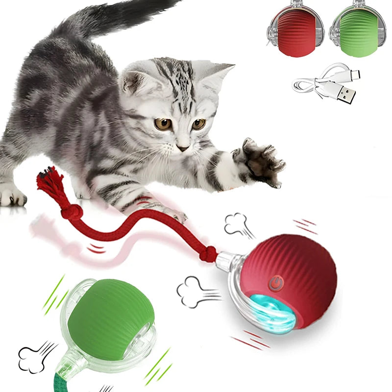 Bola Interativa Recarregável: Brinquedo Inteligente para Gatos com Rolagem Automática